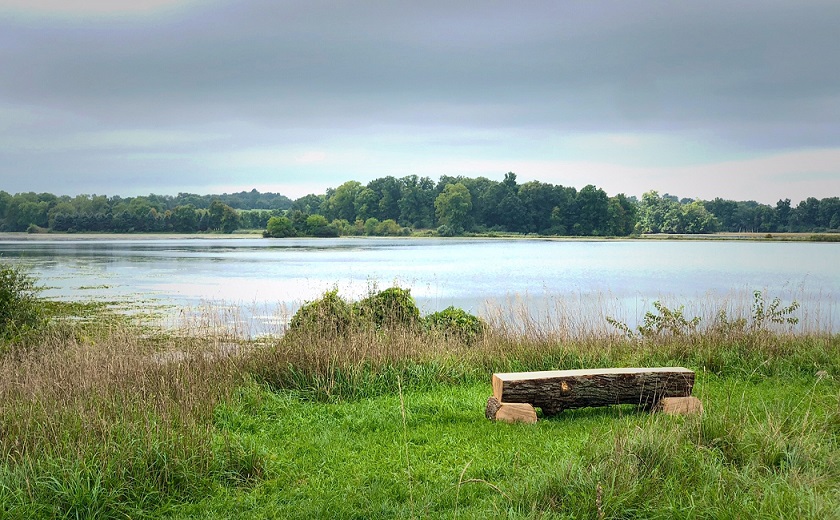 Watkins Lake bench