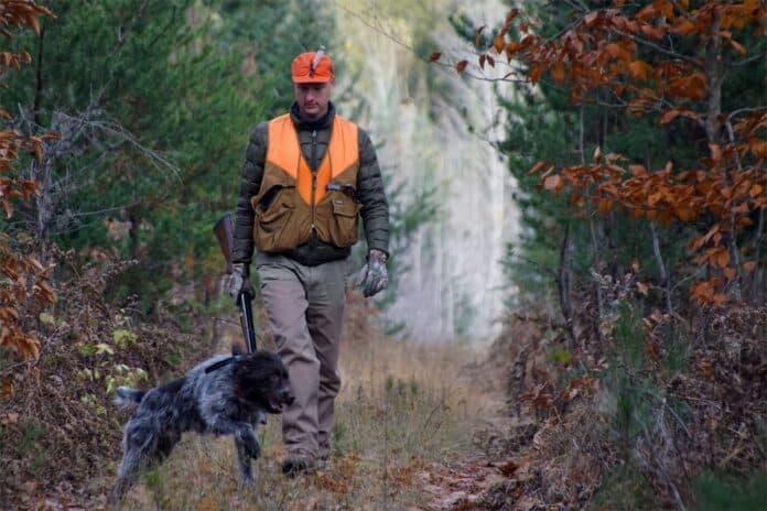 hunting-dog Hunter and dog