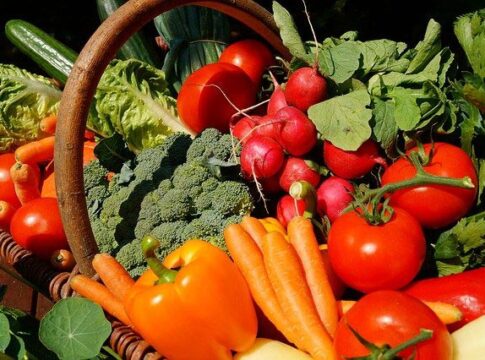vegetables garden