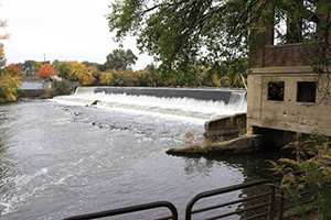 Michigan streams and lakes grants