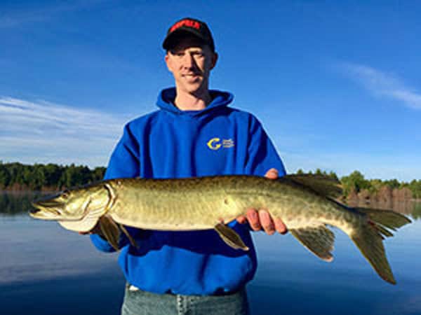 muskie survey
