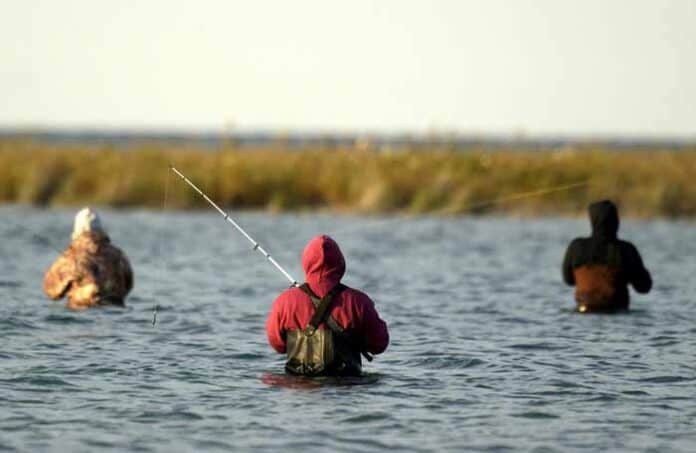 salmon-fishing salmon fishing
