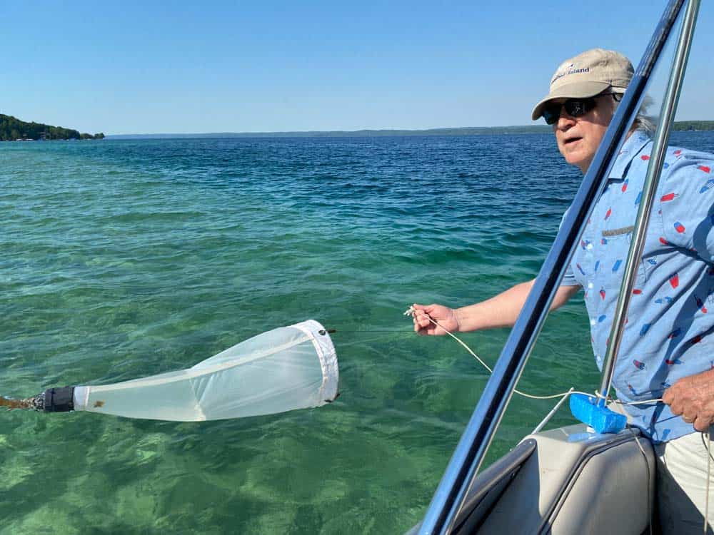 algae blooms in lakes