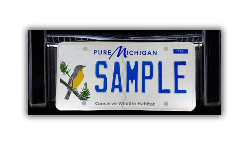 MI license plate