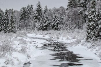 Morgan Creek
