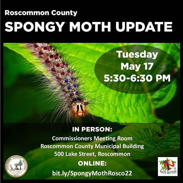 Spongy Moth Update