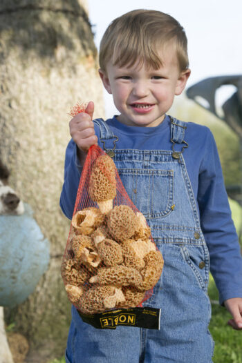 young boy with morels