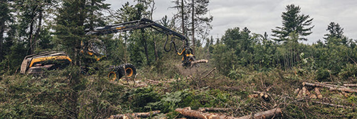 logging equipment