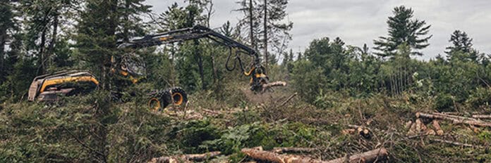 forestry logging equipment