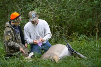 deer tag