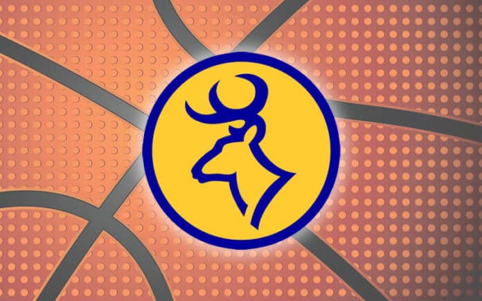 roscommon bucks basketball Roscommon Bucks basketball