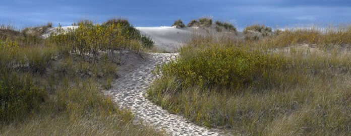dune and beach