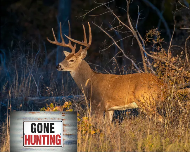 deer hunting safety tips