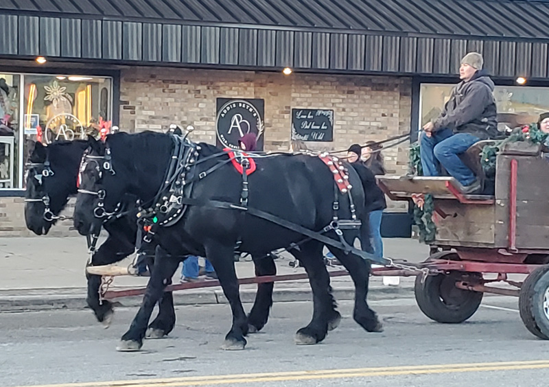 free horse drawn sleigh rides