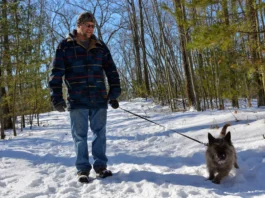 man walking his dog on snowy trail