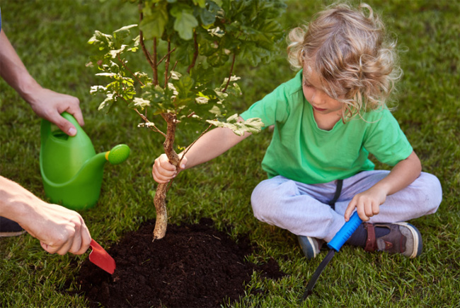 young child helping adult plant a tree.