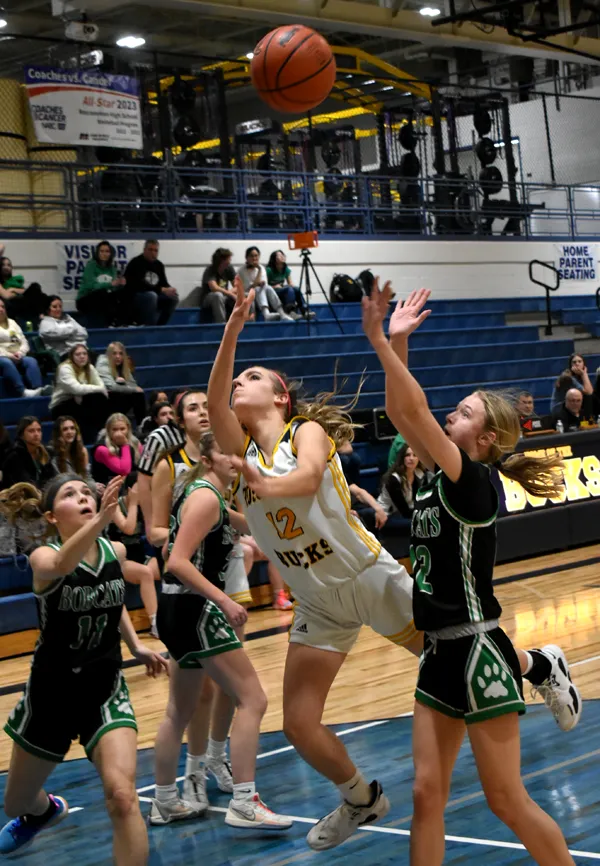 Roscommon girls basketball