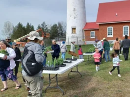 plant buyers outside the Tawas Lighthouse during the 2023 plant sale