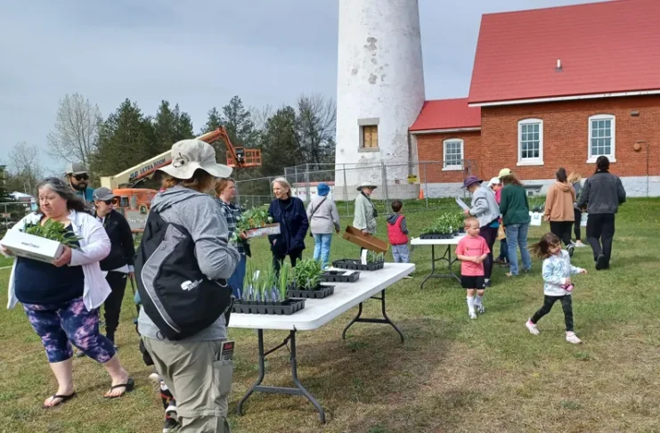 plant buyers outside the Tawas Lighthouse during the 2023 plant sale