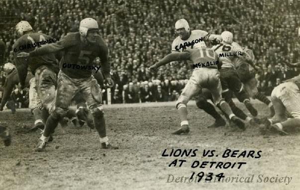 lions bears 2