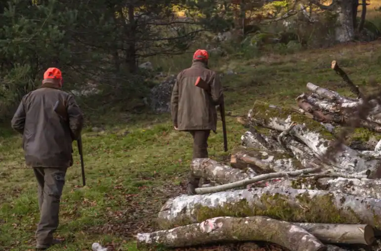 hunter safety 2 hunters walking near a stack of wood
