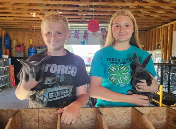 iosco fair pic 1 Keston (12) and Maddie (15) Shick of Hale with their New Zealand rabbits.