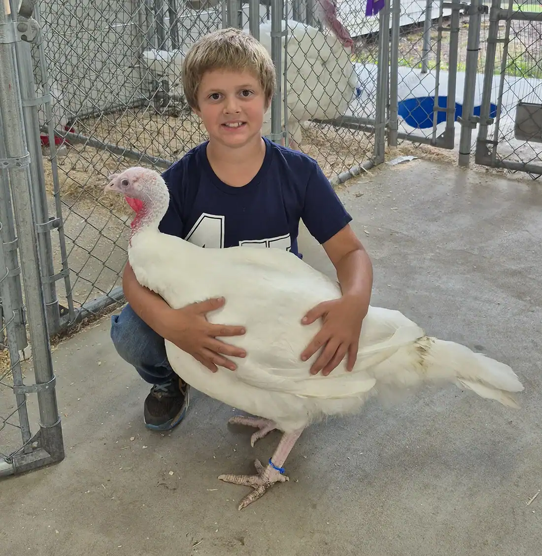 Oliver Zettle (8) of West Branch with Toothless, his white broad breasted turkey.