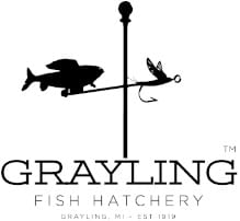 grayling fish hatchery