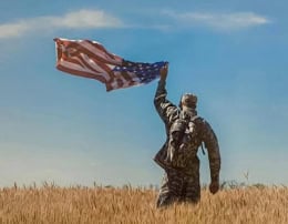 vet with flag